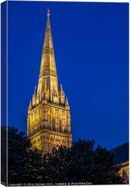 Salisbury Cathedral in Wiltshire, UK Canvas Print by Chris Dorney