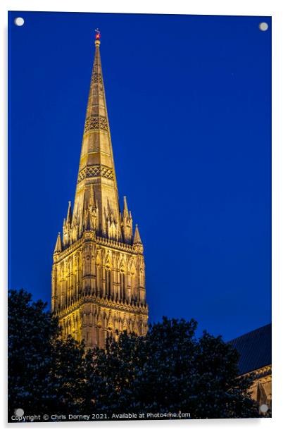 Salisbury Cathedral in Wiltshire, UK Acrylic by Chris Dorney