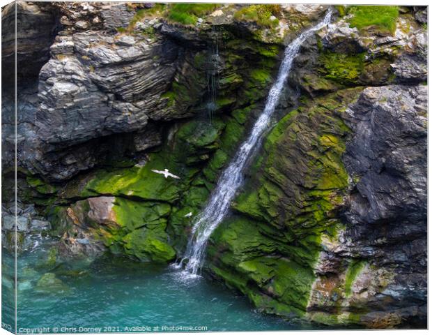 Waterfall at Tintagel Castle in Cornwall, UK Canvas Print by Chris Dorney