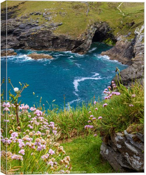 Cave in Tintagel, Cornwall, UK Canvas Print by Chris Dorney