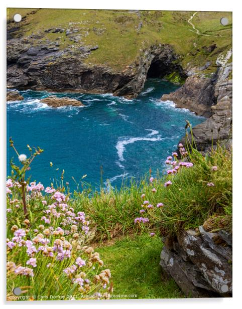 Cave in Tintagel, Cornwall, UK Acrylic by Chris Dorney