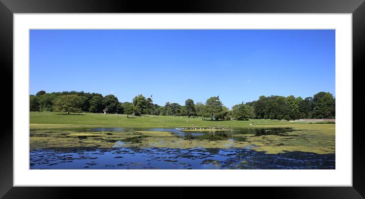 Lydiard Park lake and gardens near swindon Framed Mounted Print by Ollie Hully