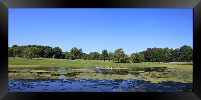 Lydiard Park lake and gardens near swindon Framed Print by Ollie Hully
