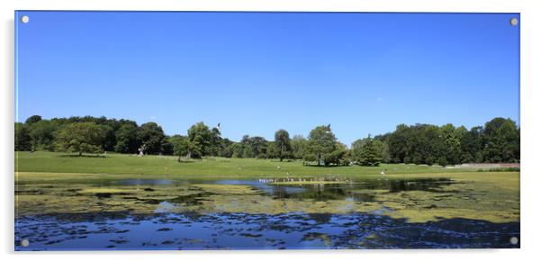Lydiard Park lake and gardens near swindon Acrylic by Ollie Hully