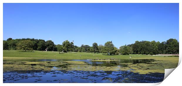 Lydiard Park lake and gardens near swindon Print by Ollie Hully
