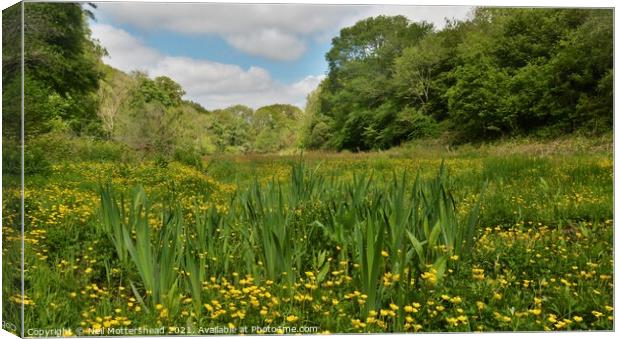 Buttercup Meadow, West Looe River Valley. Canvas Print by Neil Mottershead