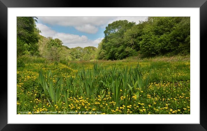 Buttercup Meadow, West Looe River Valley. Framed Mounted Print by Neil Mottershead