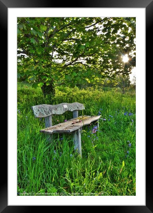 Bluebell Bench, Trenant Woods, Cornwall. Framed Mounted Print by Neil Mottershead