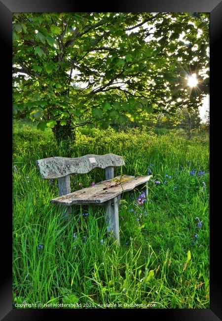 Bluebell Bench, Trenant Woods, Cornwall. Framed Print by Neil Mottershead