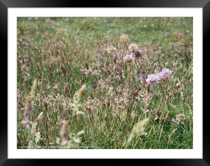 Wildflower Meadow Framed Mounted Print by Sam Robinson