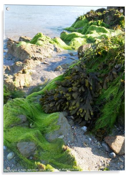 Bright Green Seaweed Covered Rock Acrylic by Sam Robinson