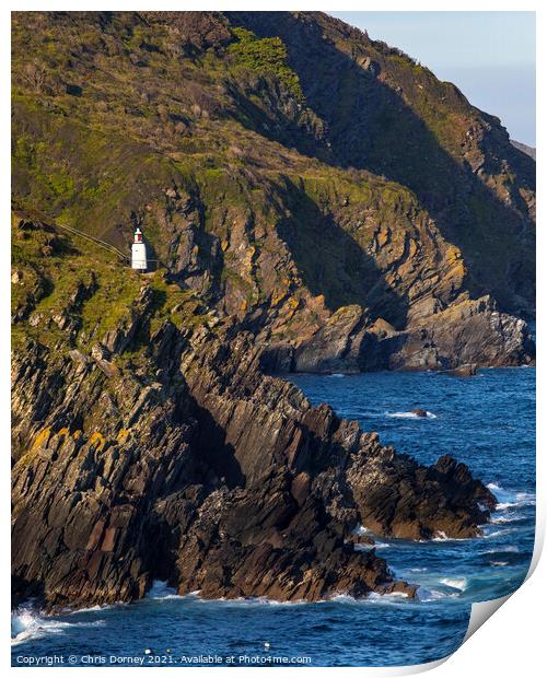 Spy House Point Lighthouse at Polperro in Cornwall, UK Print by Chris Dorney