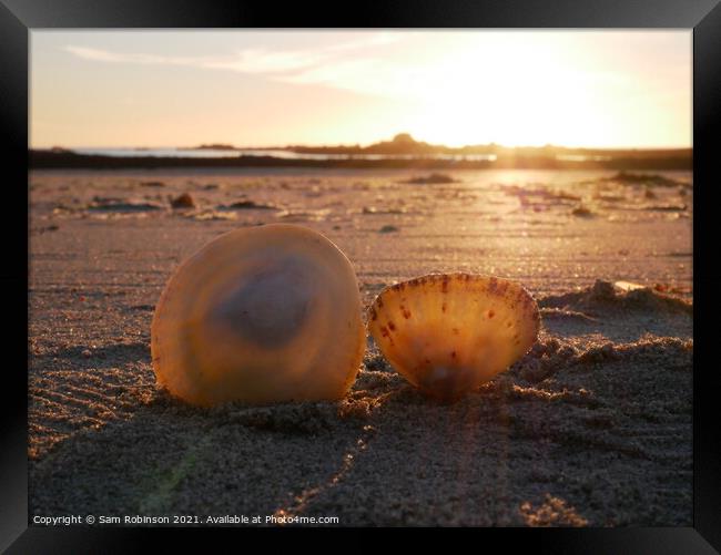 Sunset Shells Framed Print by Sam Robinson