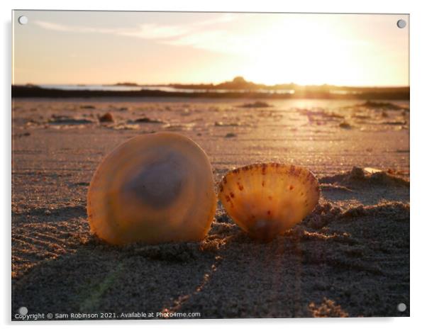 Sunset Shells Acrylic by Sam Robinson