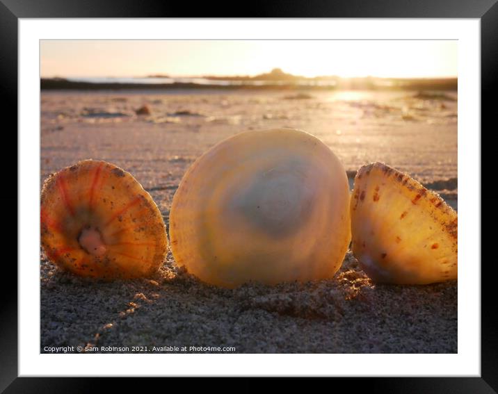 Sunset on Shells Framed Mounted Print by Sam Robinson