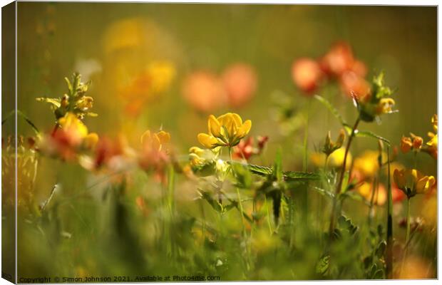 Cotswold Meadow Flowers Canvas Print by Simon Johnson