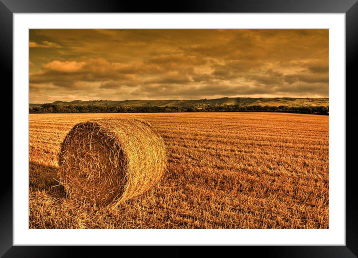 Straw Bale in Sussex Framed Mounted Print by Eddie Howland