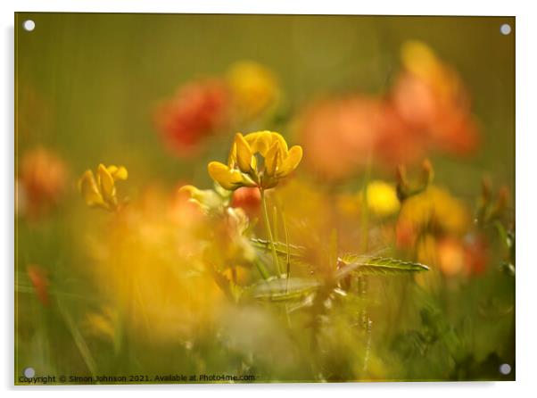 Meadow Flowers Acrylic by Simon Johnson