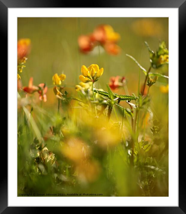 Meadow Flowers Framed Mounted Print by Simon Johnson