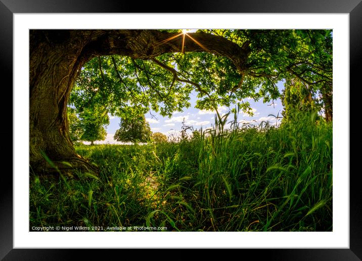 Summer Meadow Framed Mounted Print by Nigel Wilkins