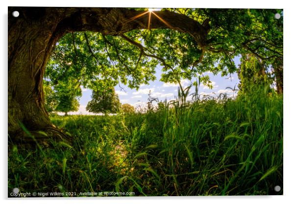 Summer Meadow Acrylic by Nigel Wilkins