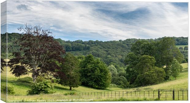 Nettlecombe Canvas Print by Adrian Rowley