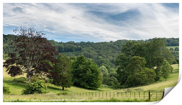 Nettlecombe Print by Adrian Rowley