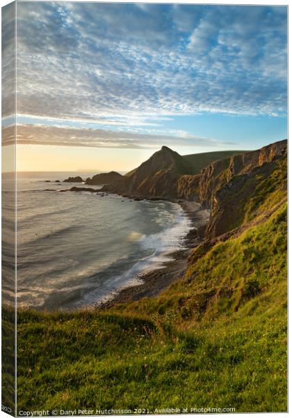 St Catherine's Tor, Hartland. Devon Canvas Print by Daryl Peter Hutchinson