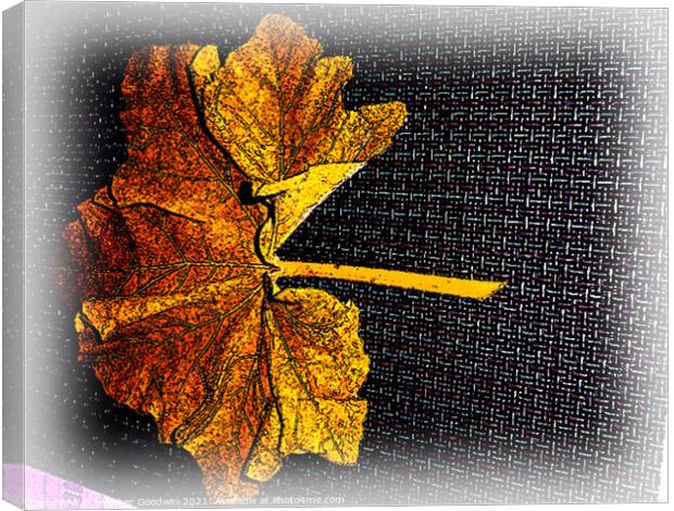 Leaf Fall Canvas Print by Heather Goodwin