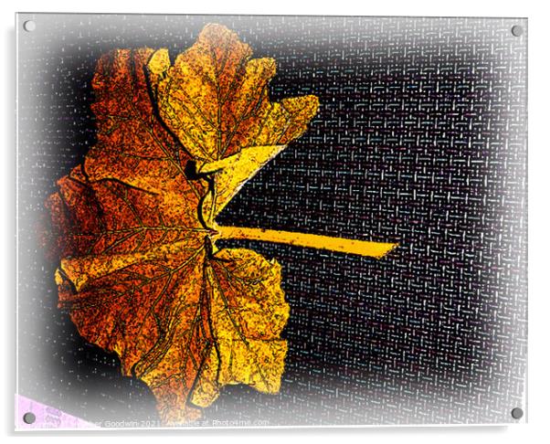 Leaf Fall Acrylic by Heather Goodwin