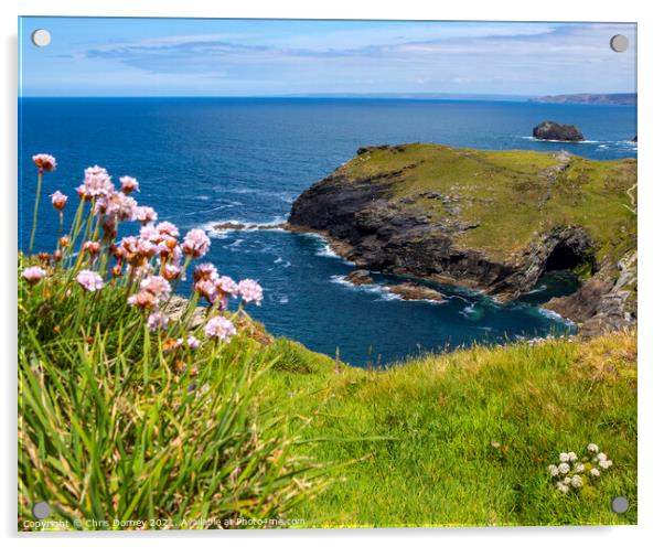 Beautiful View from Tintagel Castle in Cornwall, UK Acrylic by Chris Dorney