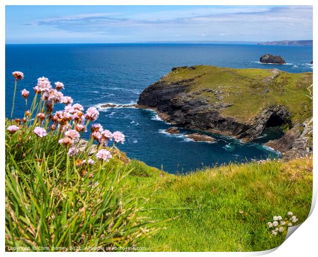 Beautiful View from Tintagel Castle in Cornwall, UK Print by Chris Dorney