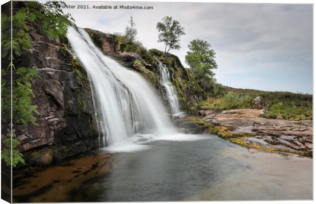 The Ardessie Falls near Dundonnell, NW Highlands, Scotland, UK Canvas Print by David Forster