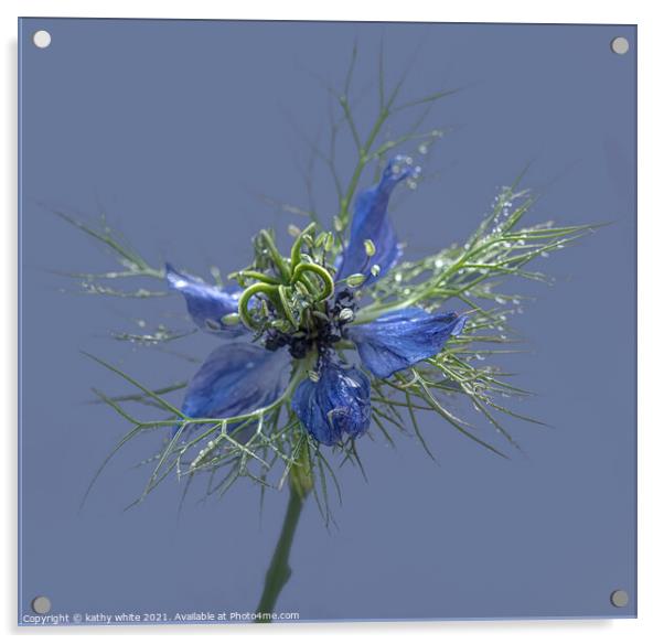 Beautiful flower love in a mist  Acrylic by kathy white