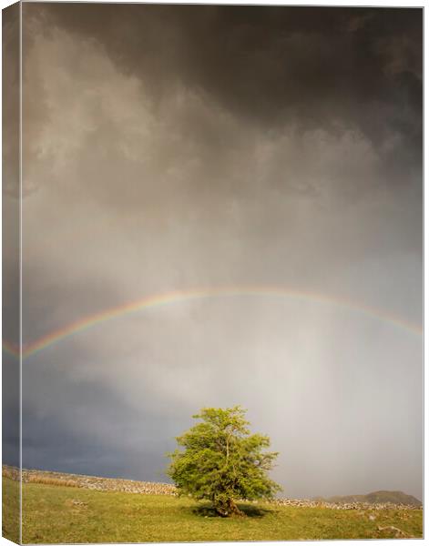 Stormy skies Canvas Print by Rory Trappe
