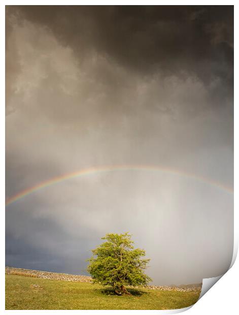 Stormy skies Print by Rory Trappe