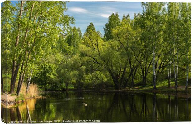 Small lake surrounded by trees in the park Canvas Print by Dobrydnev Sergei
