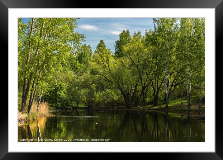 Small lake surrounded by trees in the park Framed Mounted Print by Dobrydnev Sergei