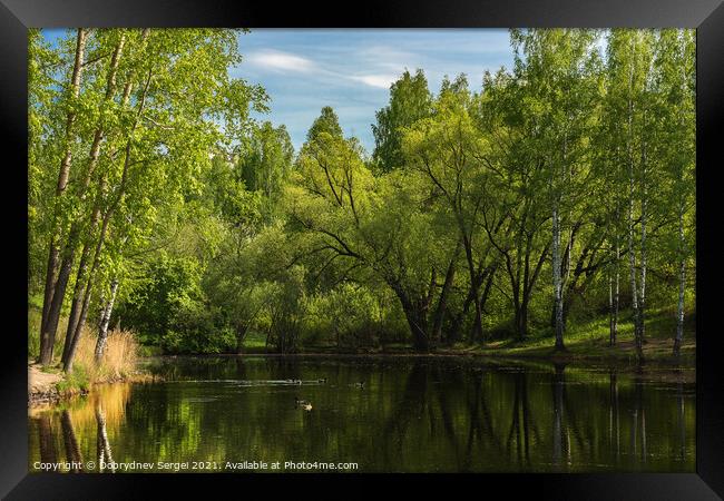 Small lake surrounded by trees in the park Framed Print by Dobrydnev Sergei