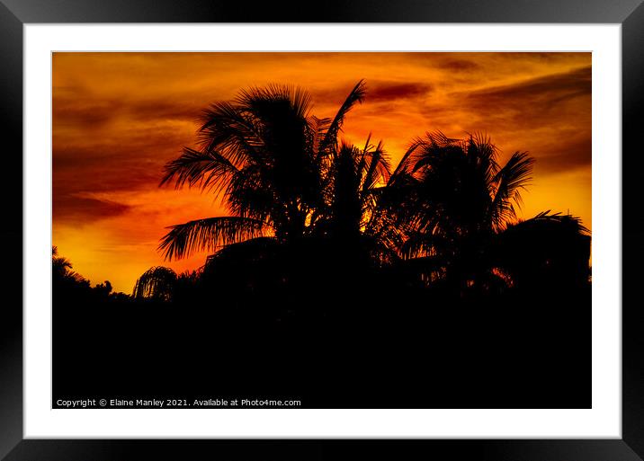 Gulf of Mexico Sunset  in Florida  Framed Mounted Print by Elaine Manley