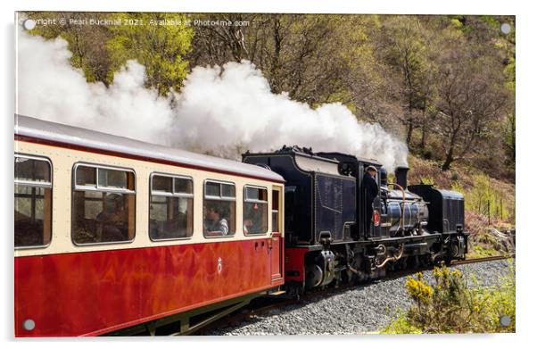 Welsh Highland Railway Steam Train Acrylic by Pearl Bucknall