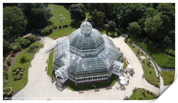 Palm House from the air  Print by Ian Fairbrother