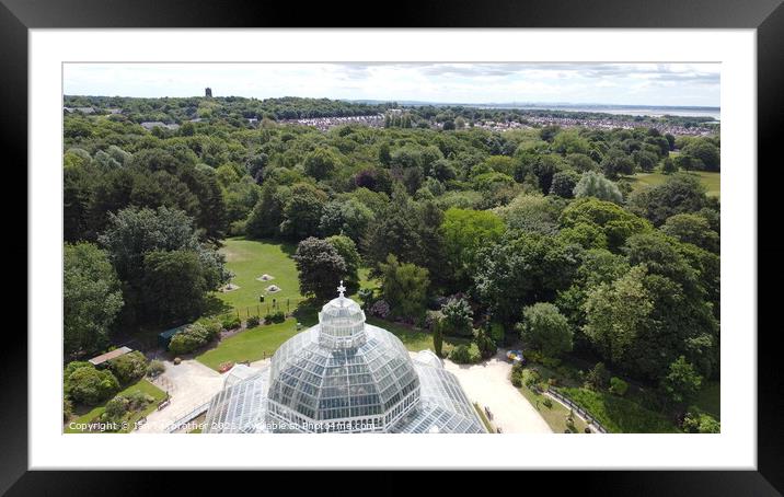 Palm House By Drone  Framed Mounted Print by Ian Fairbrother