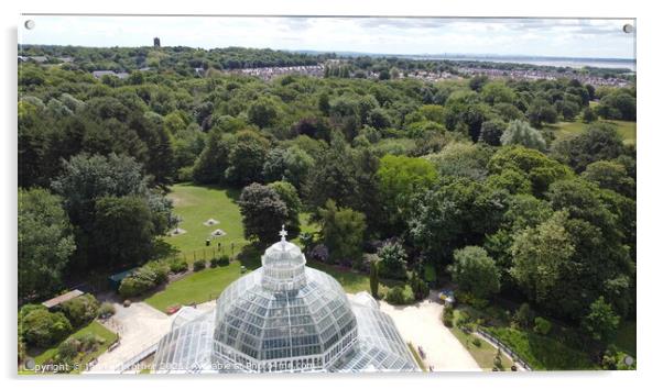 Palm House By Drone  Acrylic by Ian Fairbrother
