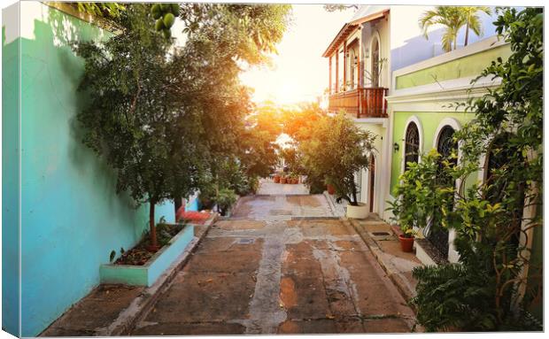 San Juan streets at sunset Canvas Print by Elijah Lovkoff