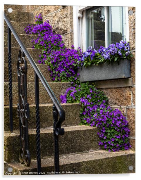 Purple Flowers in St. Ives in Cornwall, UK Acrylic by Chris Dorney