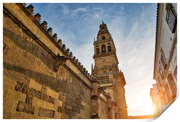 Mezquita Cathedral  at a  bright sunny day in the heart of historic center of Cordoba Print by Elijah Lovkoff