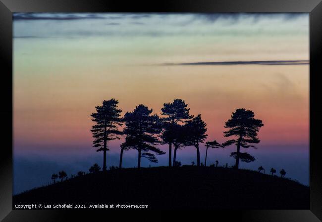 Colmer's Hill Trees  Framed Print by Les Schofield