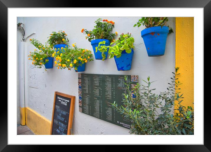 Cordoba, Spain-23 October, 2017: Spanish restaurant entrance nea Framed Mounted Print by Elijah Lovkoff