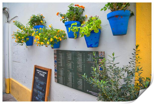 Cordoba, Spain-23 October, 2017: Spanish restaurant entrance nea Print by Elijah Lovkoff